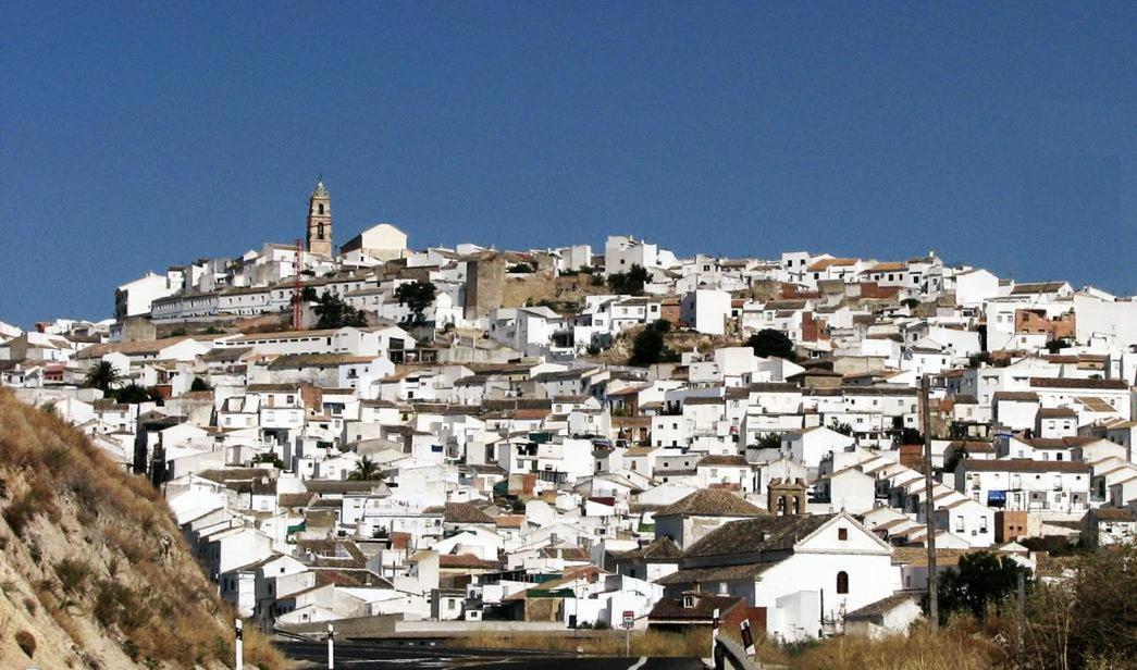 Hostal Los Claveles Baena Exteriér fotografie