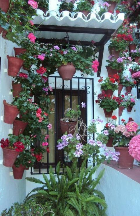 Hostal Los Claveles Baena Exteriér fotografie